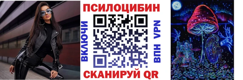 как найти закладки  Приволжский  Псилоцибиновые грибы Magic Shrooms 